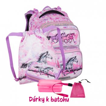 Bagmaster Mal koln set pro prvky Dopi 24 A kon (batoh + sek + penl + box + mal sek)